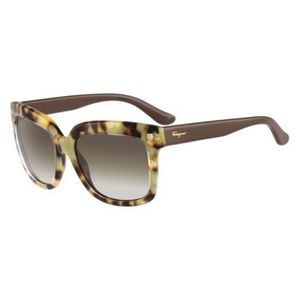 Ferragamo SF676S Sunglasses in Green Tortoise